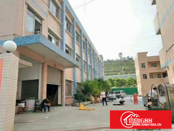 陈江镇近白云山村独院4500方标准厂房出租，可分租