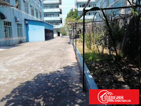 凤岗独院厂房出租800—3000大小分租，也可整租。