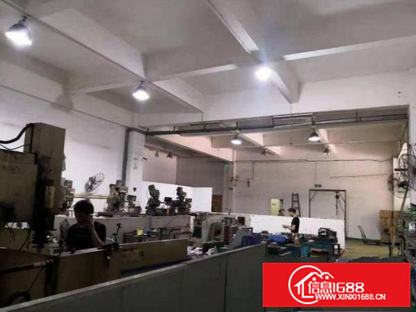 下朗即将空出1楼厂房650平，带装修，水电齐全