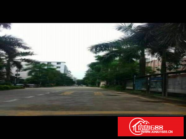 龙岗南联电商国际产业园8001500平米，可分租