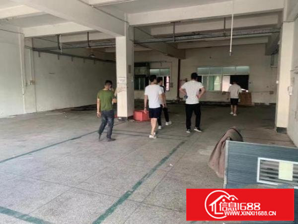 出租龙华观澜新田7600平厂房出租可分租