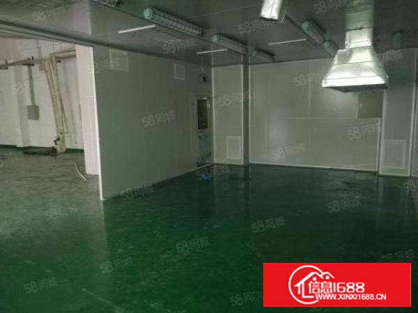 谢岗一楼厂房出租320平方和450平方水电线路齐全