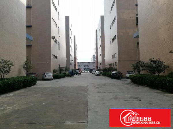 大岭山厚大路原房东厂房2000平米