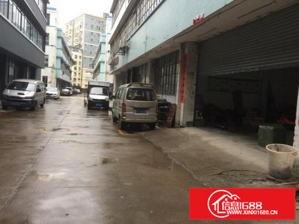 吉华路边坂田天虹对面1楼分租500平方左右