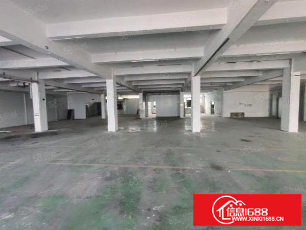 清溪三中原房东标准二楼厂房1100平招租可分租可办环评