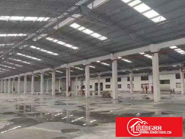 107国道边单一层厂房出租2000平高度10米仓库物流加工等