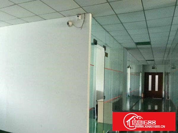 横沥水边标准独院厂房3800平水电齐全招工易形象好