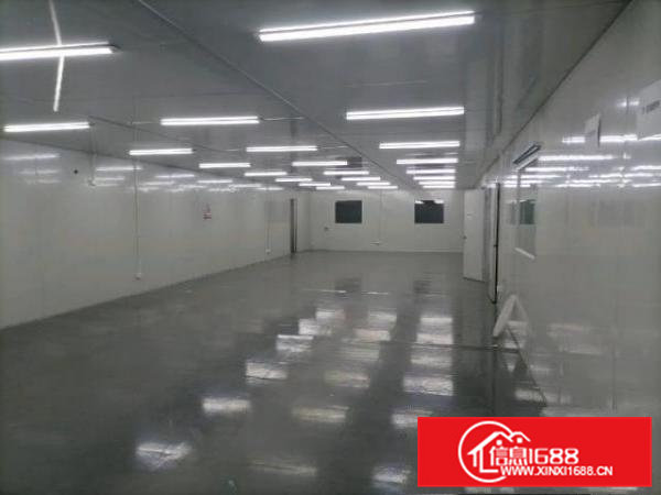 寮步泉塘九成新无尘车间出租