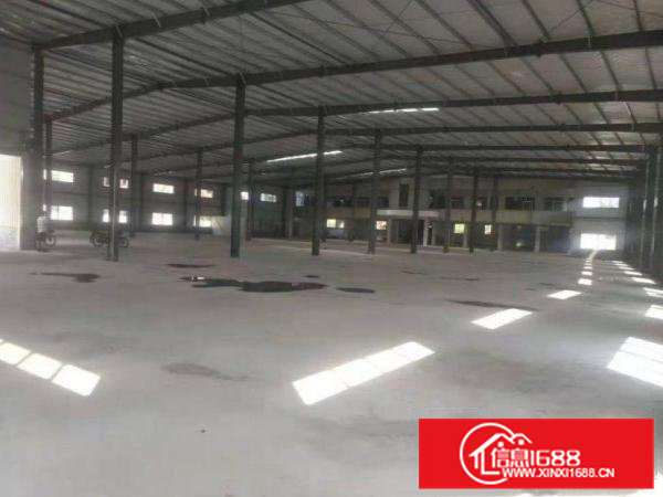 渔梁围新出全新钢结构单一层带牛角厂房300平方出租