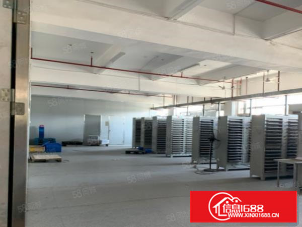 塘厦石马楼上可做电池厂房1100平，现成装修实际面积出租