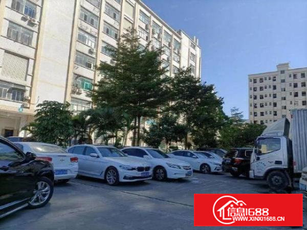 桥头田新社区精装修1300平花园式厂房出租空地大