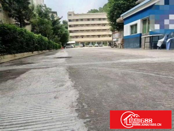 大岭山工业区新空出花园式厂房一楼1000平可整租可分租