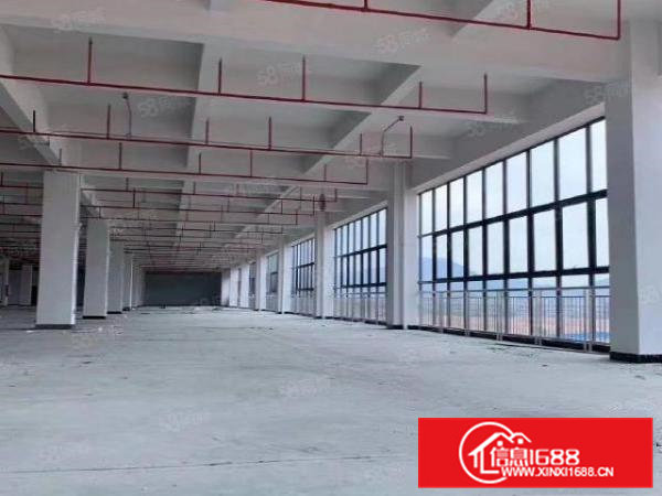 常平独院标准厂房14层2万平宿舍配套5000平（可分租）