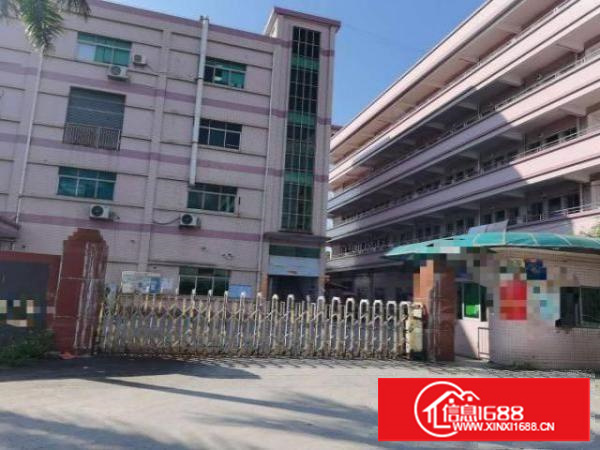 石碣四甲租客分租租金便宜厂房出租