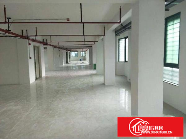 虎门新联新出一六层全新独栋厂房4200平