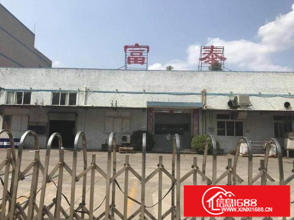 龙岗中心城2500平米村委独院钢构厂房