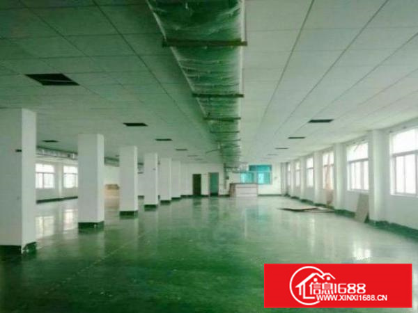 容桂标准厂房1000方大小可分租大路边形象好