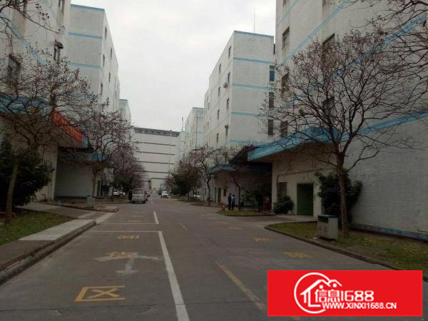 厂房急租龙岗同乐原房东带装修2楼850平米