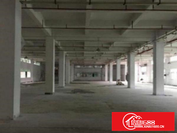 高埗标准厂房楼上新出二三楼面积2400平厂房出租