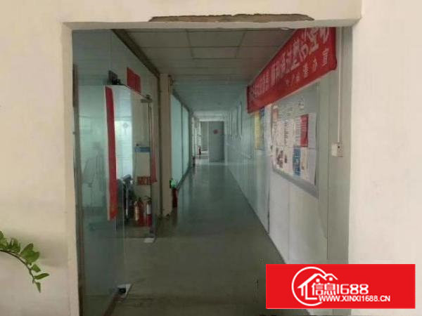 沙井和一大型园区原房东厂房招租