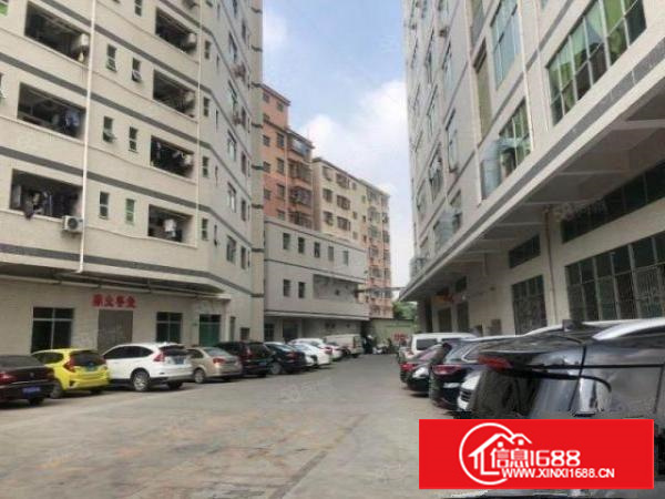 金凤凰精装修楼上660平方.