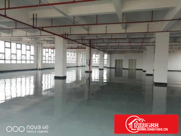 精装修！虎门白沙高铁站附近新空出整层1350平出租