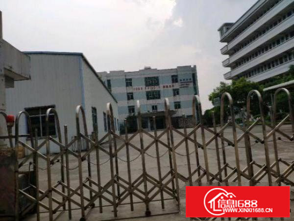 独门独院，空地大，水电齐全办公室精装修