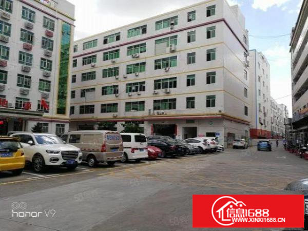 龙华大浪原房东带装修厂房出租1280平方，一整层，面积实在