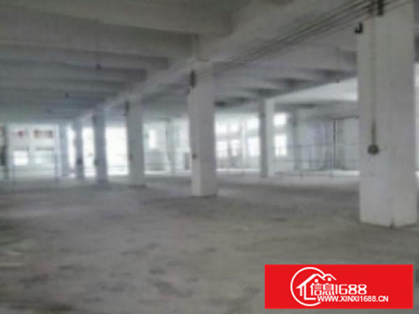 高埗独院标准厂房4500平方出租工业用地、可办环评