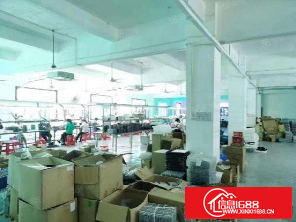 观澜桂花工业区新出原房东二楼厂房1200平方，带精装修出租