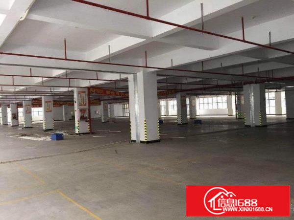 大岭山杨屋新出带红本独院三层11000平方厂房出租