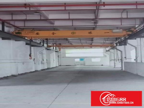 东莞桥头标准一楼厂房！！