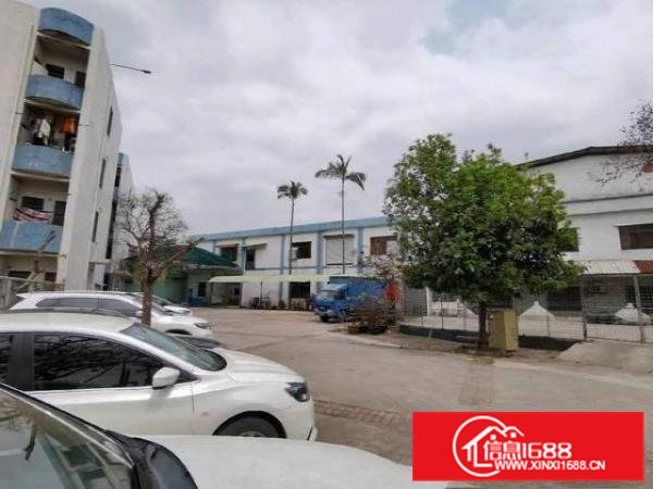 黄牛埔村华南塑胶城对面厂房1000平方米