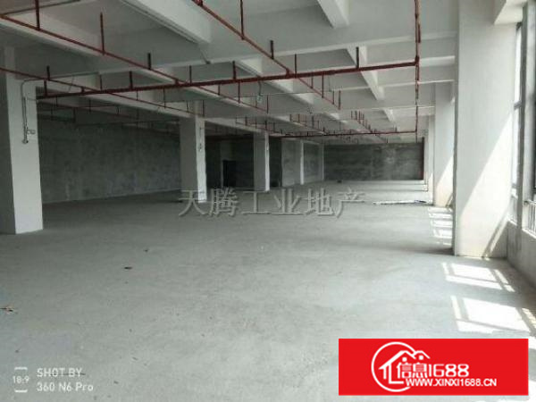 龙江陈涌工业区11900方，全新商品式厂房，形象好