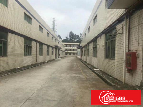 布吉高12米4500平钢构自带10吨行车