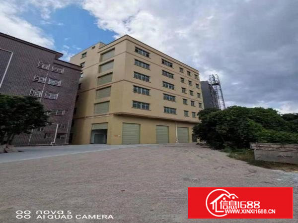 塘厦凤凰岗3至7楼780平方/层可分租免租期长 空地大