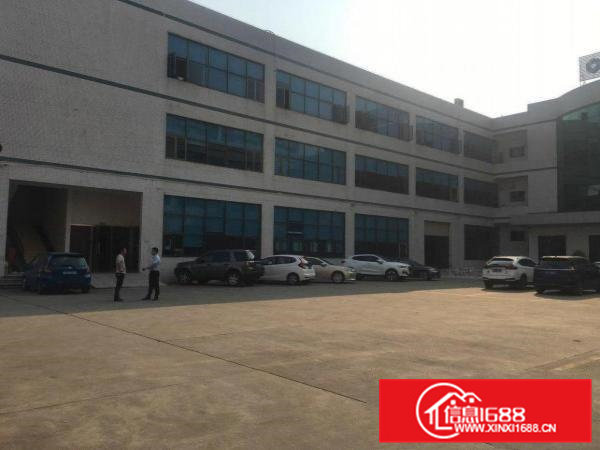 高埗花园式独门独院厂房整租优先