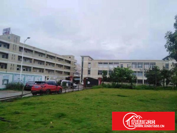 出租坪山新区坪山