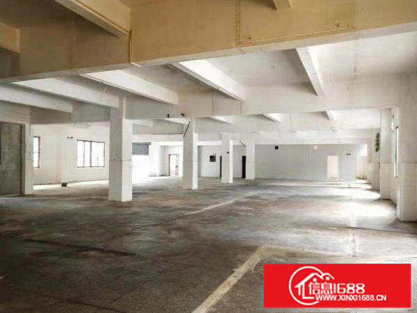 惠阳新墟平南电子厂房1250平方