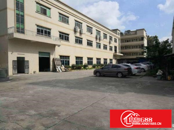 常平九江水高速口原房东标准厂房4000平方招租，精装修