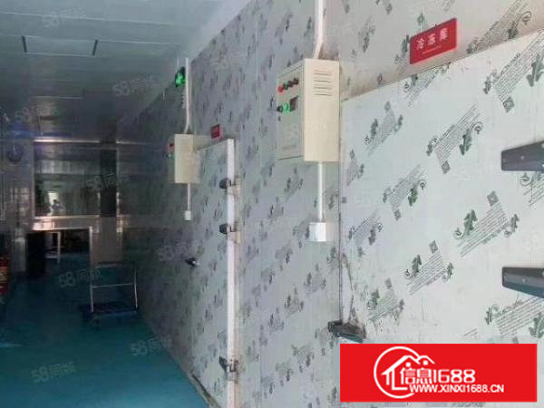 平湖海吉星附近工业园一楼2500平方带冻库厂房出租，可分租！