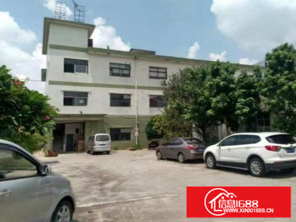 塘厦振兴围标准厂房楼上1000平出租