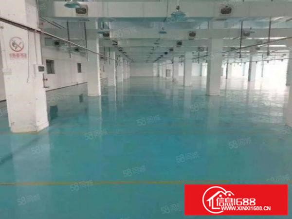 西溪工业区现成装修带地坪漆办公室出租2500平方