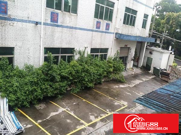 坑梓金康路一楼厂房800平米