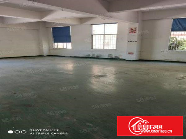 石岩星城月明街230平米小面积厂房出租带办公室