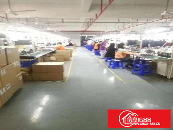 横岗六约全新装修620平工业厂房招租（有一部2吨货梯）