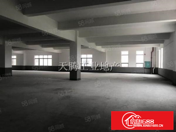 全新水泥结构楼层式带多台货梯均安世友工业园厂房出租