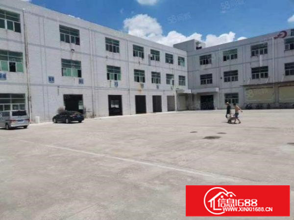 凤岗油甘埔原房东二三楼现成装修办公室各3000平厂房出租