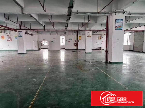 塘厦石潭浦标准3楼475平出租,现成消防喷淋,地坪漆装修