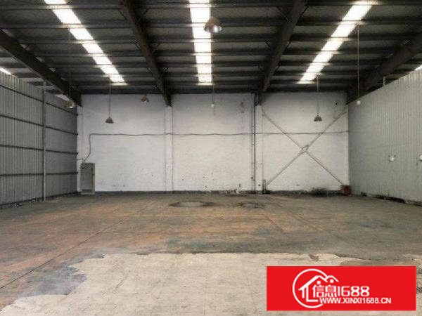 原房东直租，空地大，向东新出单一层钢构厂房235平低价出租